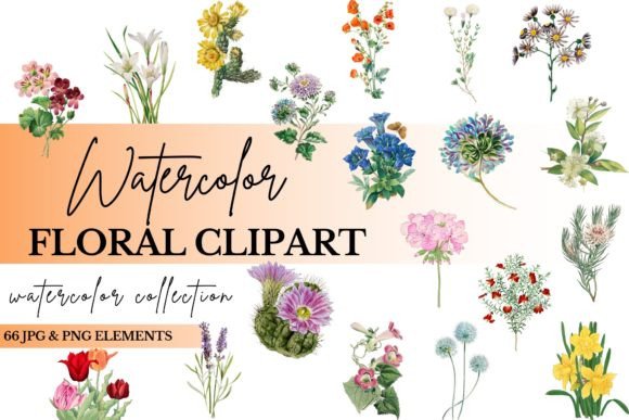 Download Watercolor Floral Clipart Bundle - Premium Bundle
