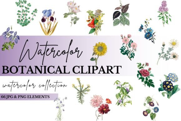 Download Watercolor Floral Clipart Bundle - Premium Resources