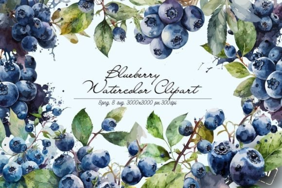 Download Watercolor Blueberry Clipart - Berry Collection